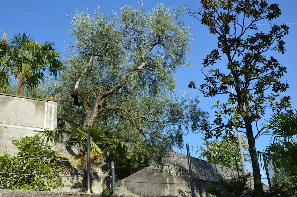 Arco Climbing Villa Eksteriør billede